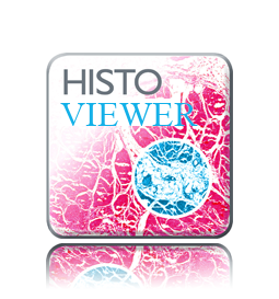 histoviwer logo